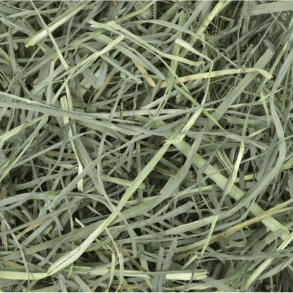 Foin Orchard Grass for Small Pets 15 Oz kg Bag - additional product view 3