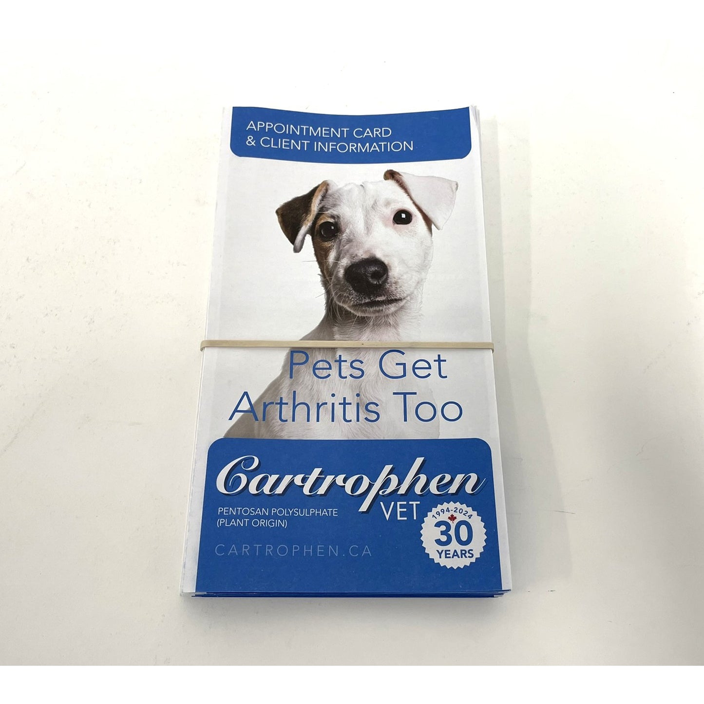 Cartrophen Appointment Cards and Client Information for Dogs, English (Pack of 25)