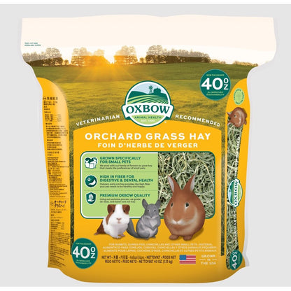 Foin Orchard Grass for Small Pets 40 Oz kg Bag