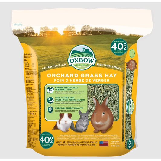 Foin Orchard Grass for Small Pets 40 Oz kg Bag