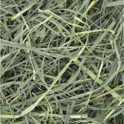Foin Orchard Grass for Small pets - 40 Oz - product image 3