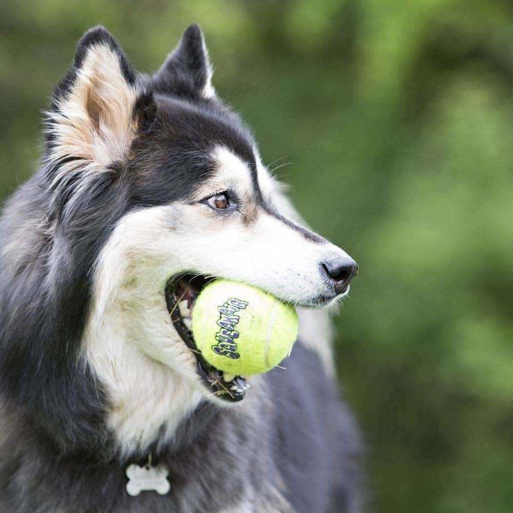 Squeakair Ball for Dogs (Yellow) 1 Ball - additional product view 3