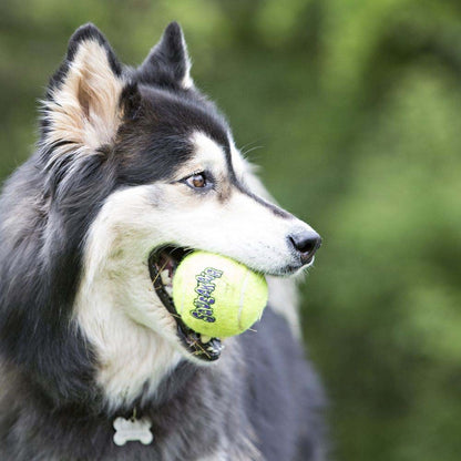 Squeakair Ball for Dogs (Yellow) 1 Ball - additional product view 3