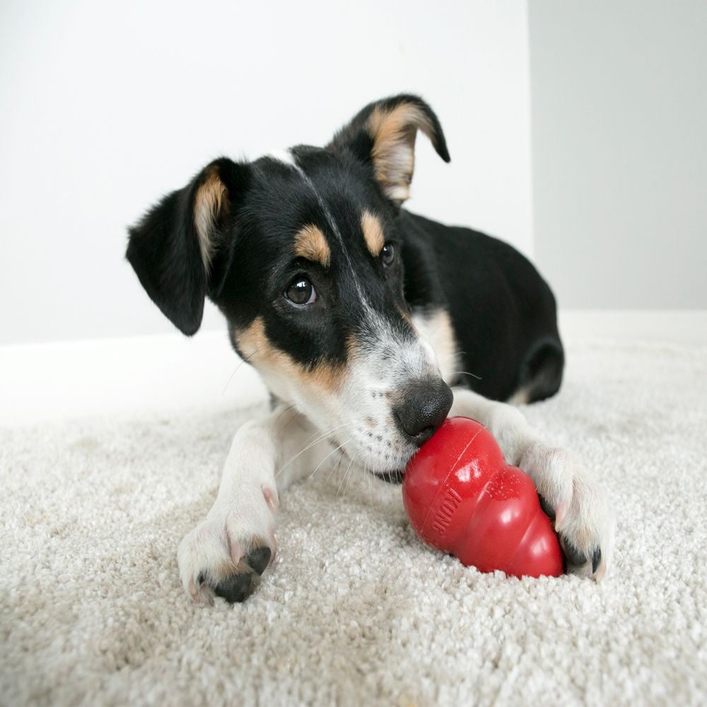 Classic Stuffing Toy for Dogs (Red) 1 Unit, Large - additional product view 3