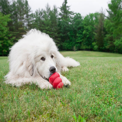 Classic Stuffing Toy for Dogs (Red) 1 Unit, XL - additional product view 3