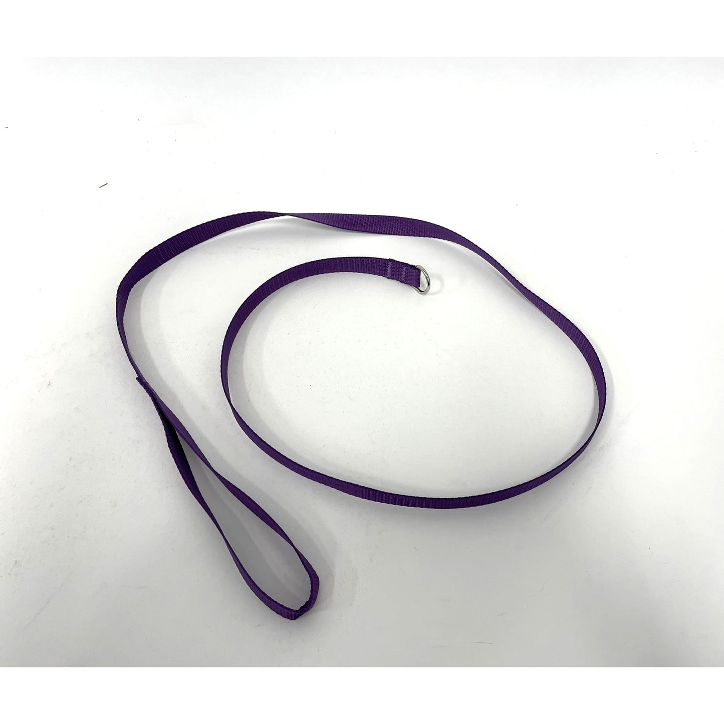Slip Leads for Dogs (Purple) 4 Ft