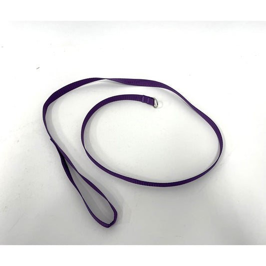 Slip Leads for Dogs (Purple) 4 Ft