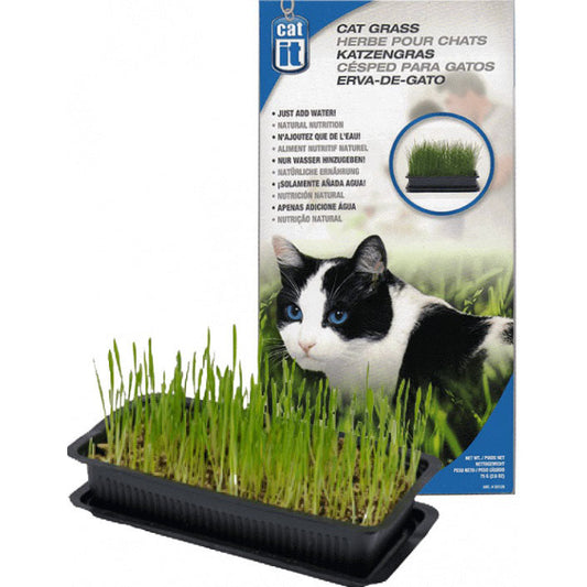 Cat Grass for Cats 85 g 1 Kit