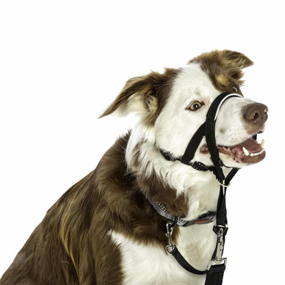Halti Headcollar for Dogs, Black, Size 2, 1 Unit - additional product view 4