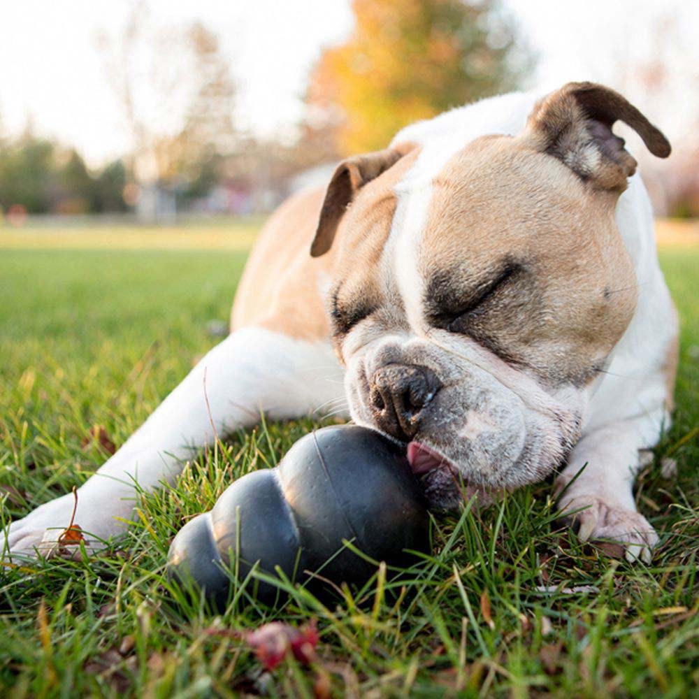 Extreme Stuffing Toy for Dogs 1 Unit, Black, Medium - additional product view 3