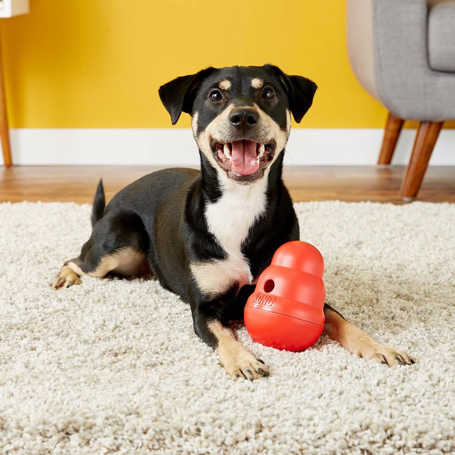 Wobbler Treat Toy for Dogs (Red) 1 Unit, Small - additional product view 3
