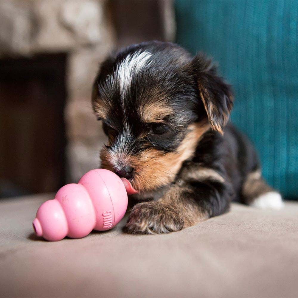 Puppy Stuffing Toy for Dogs 1 Unit, Random, XS - additional product view 3