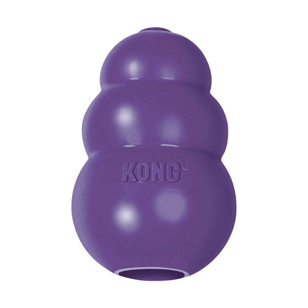 Senior Stuffing Toy for Dogs (Purple) 1 Unit