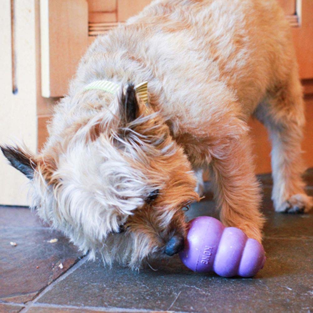 Senior Stuffing Toy for Dogs (Purple) 1 Unit - additional product view 3
