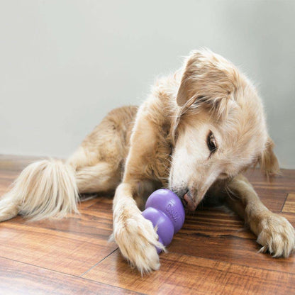 Senior Stuffing Toy for Dogs (Purple) 1 Unit, Medium - additional product view 3