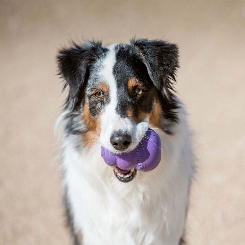Senior Stuffing Toy for Dogs (Purple) 1 Unit, Large - additional product view 3
