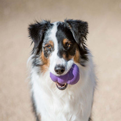 Senior Stuffing Toy for Dogs (Purple) 1 Unit, Large - additional product view 3