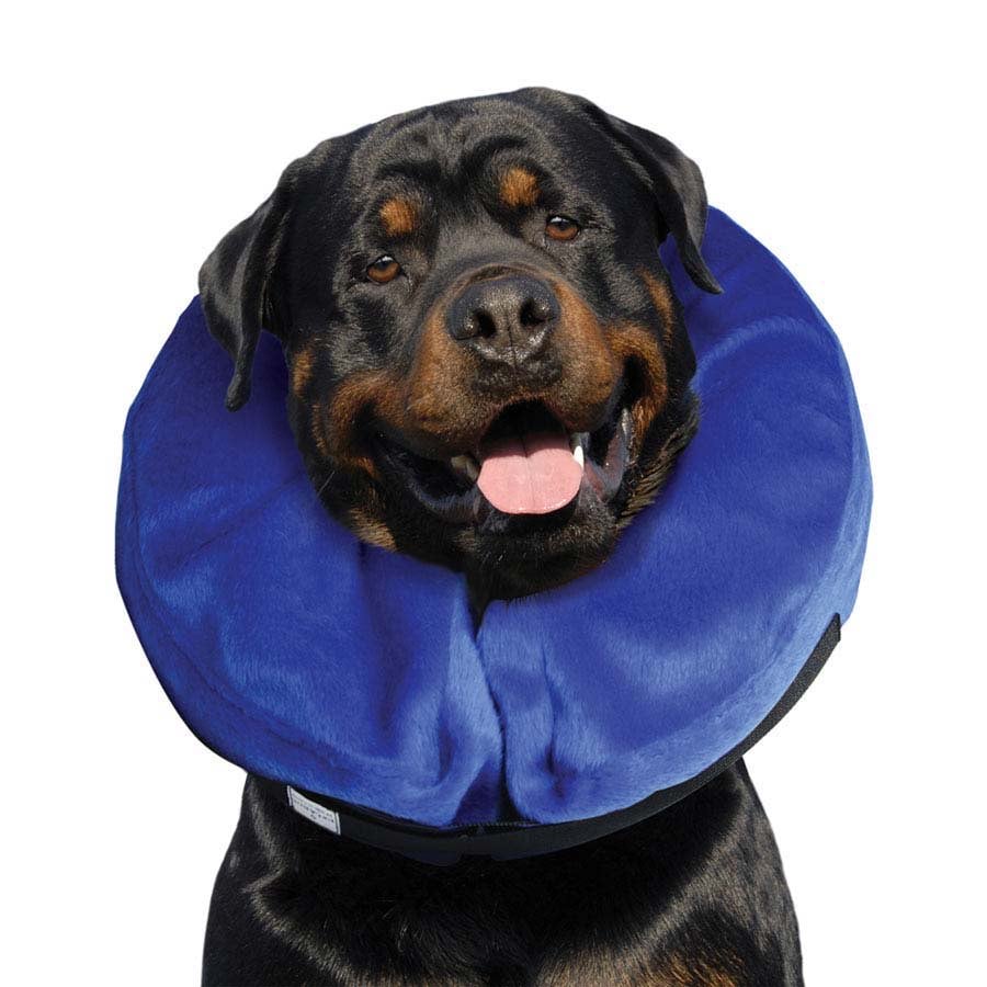 Cloud Collar for Cats (Blue) 1 Collar