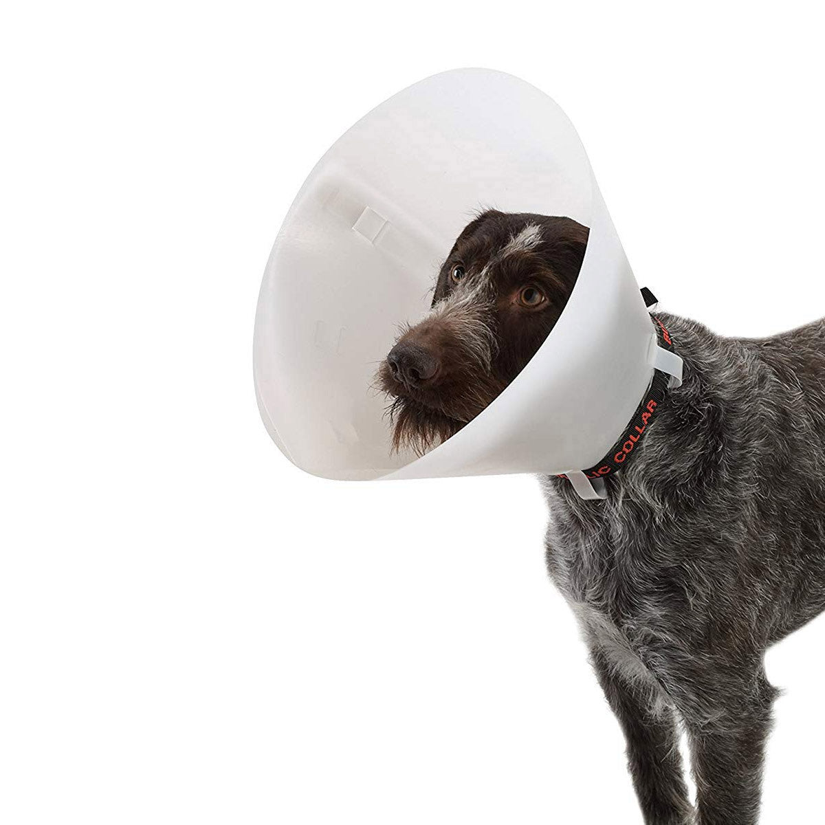 Buster Classic Collar for Dogs 35 cm 1 Collar, White