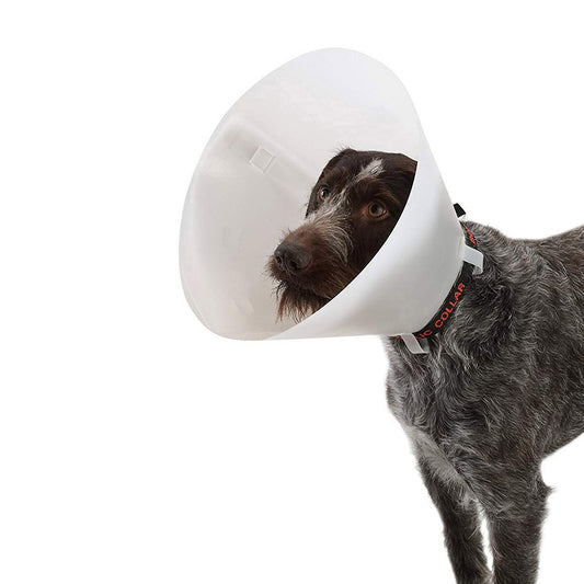 Buster Classic Collar for Dogs 35 cm 1 Collar, White