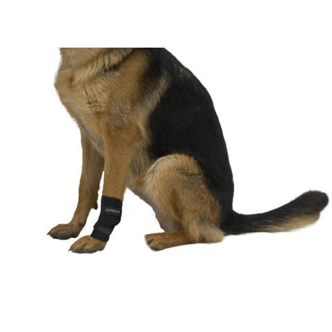 Rehab Dog Carpal Joint Protector for Dogs 1 Unit, Small, 1 Joint Protector