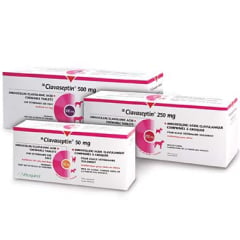 Clavaseptin Chewable Tablet for Cats and Dogs, 62.5 mg, 100 Chews - product image 1