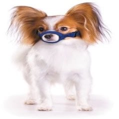 Quick Muzzle for Dogs - XS - product image 1