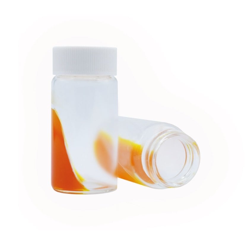 FungaSense Fungal Culture System Pack of 10