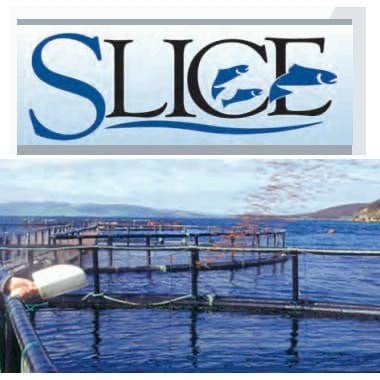 Slice Premix 1 Bag of 2.5 kg
