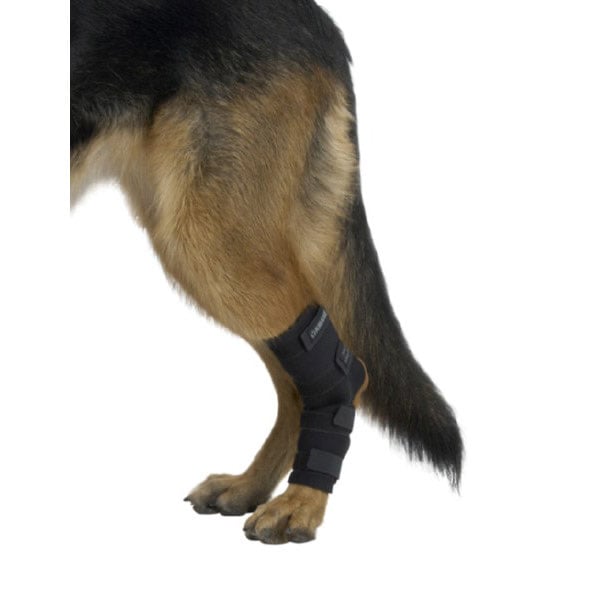 Rehab Dog Hock Protector for Dogs 1 Unit, Large