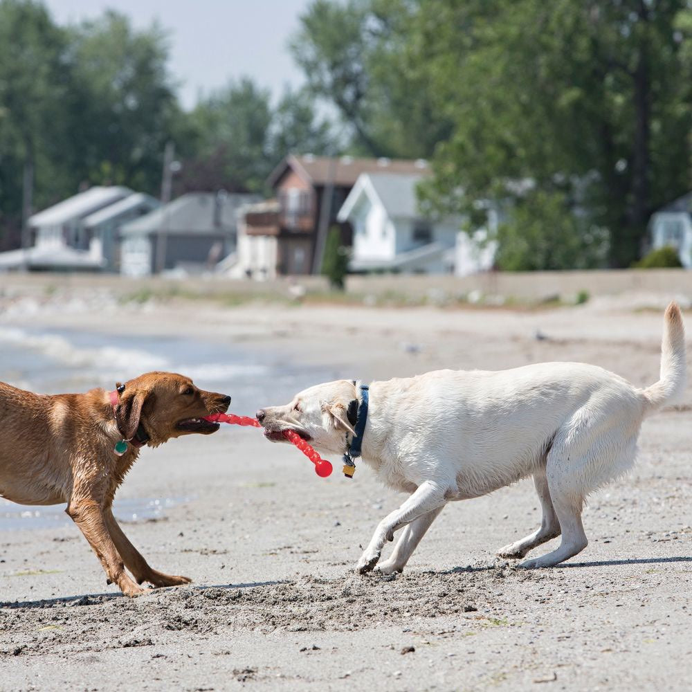 Safestix Toy for Dogs 1 Toy - additional product view 3