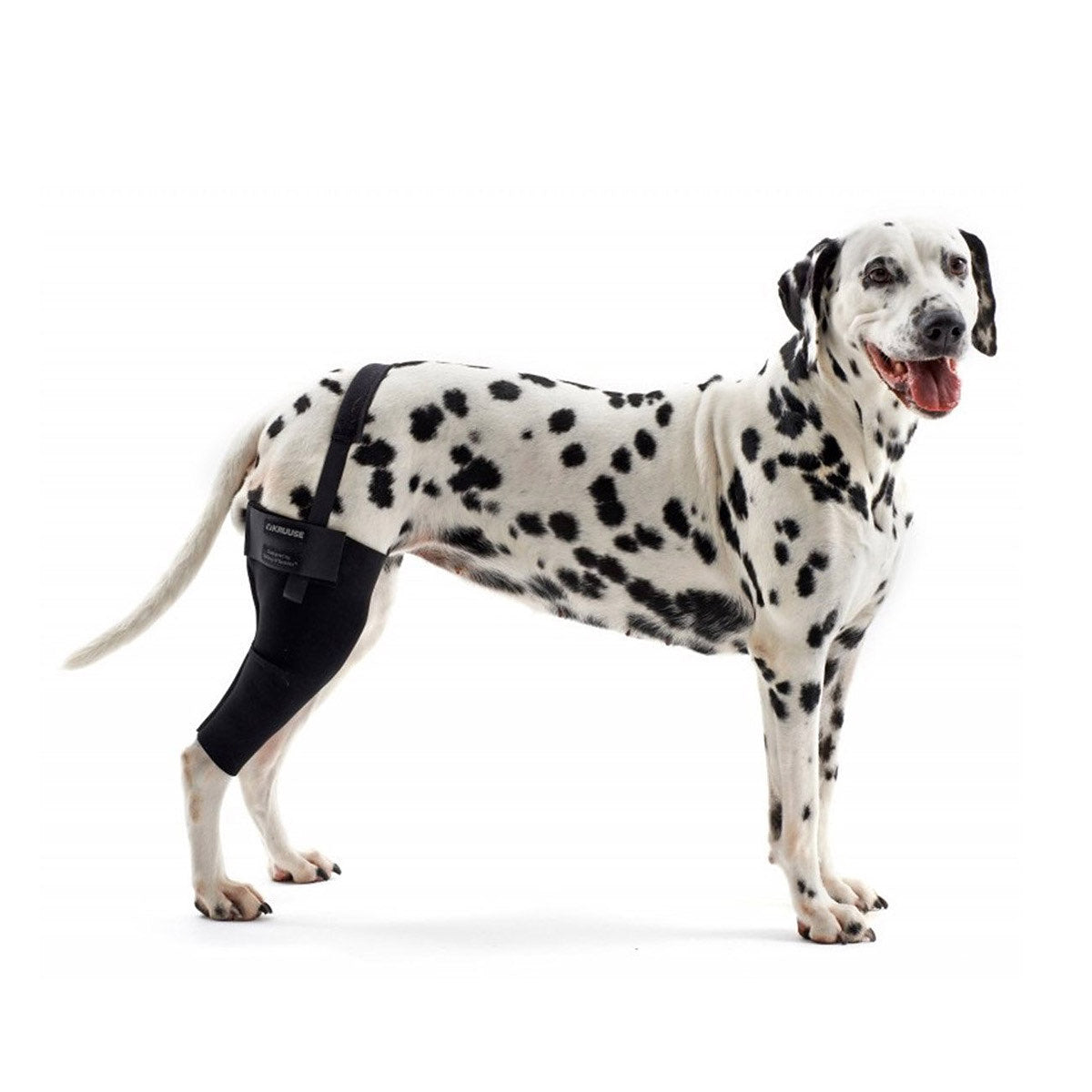 Rehab Dog Right Knee Protector for Dogs 1 Unit, XL