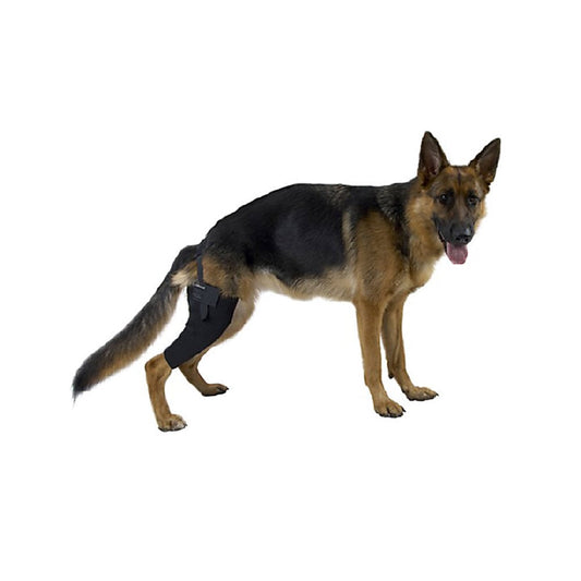 Rehab Dog Left Knee Protector for Dogs 1 Unit, Small