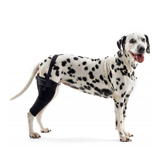 Rehab Dog Right Knee Protector for Dogs 1 Unit, Small