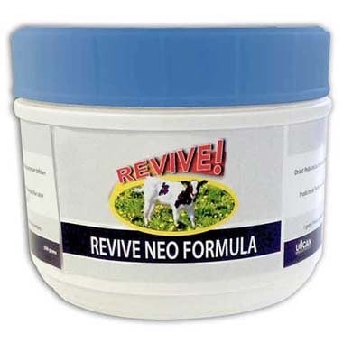 Revive Neo Formula 500 g Jar