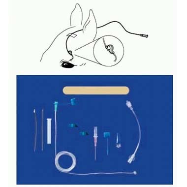 Eye Lavage Kit for Horses 1 Kit
