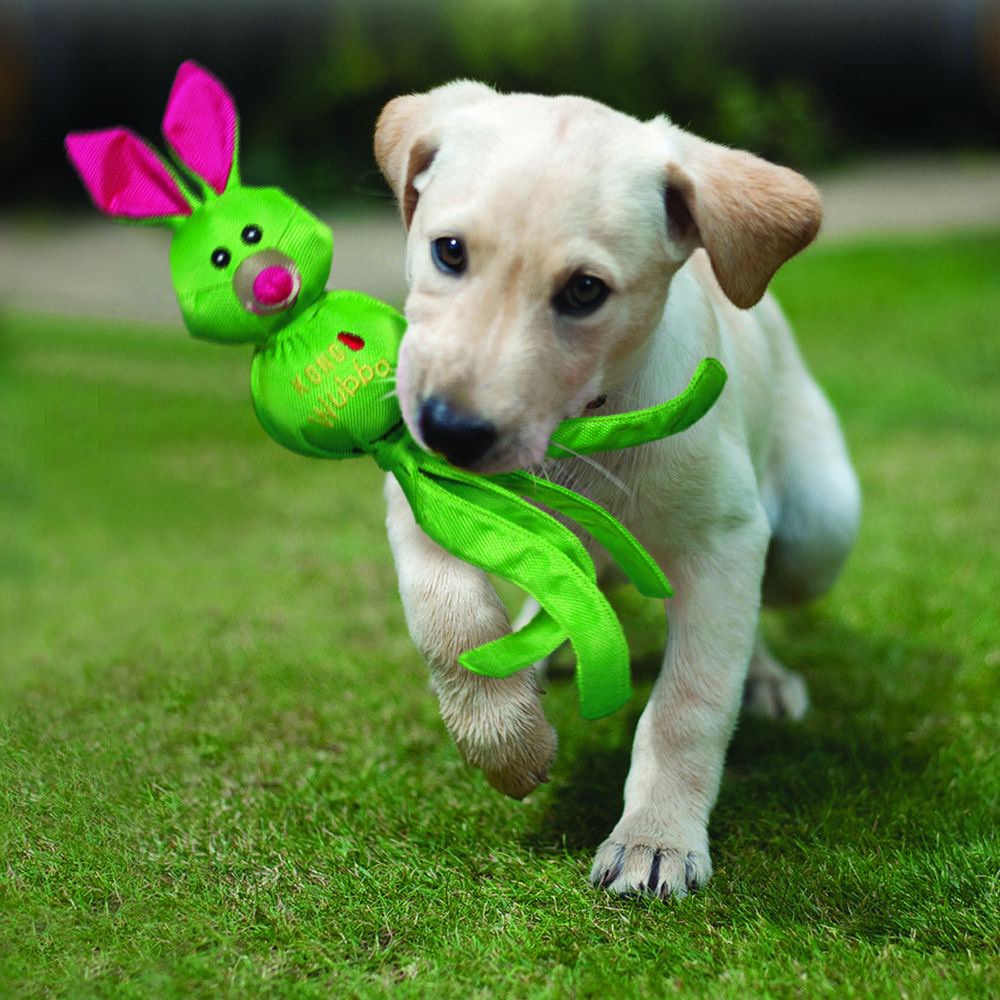 Wubba Ballistic Friends Toy for Dogs 1 Unit - additional product view 3