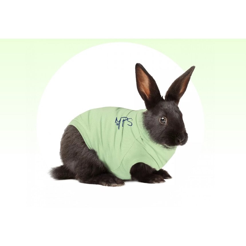 Medical Pet Shirt for Rabbit for Small Pets (Green) Pack of 1 Unit