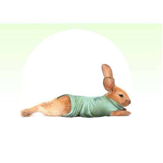 Medical Pet Shirt for Rabbit for Small Pets (Green) Pack of 1 Unit - additional product view 2