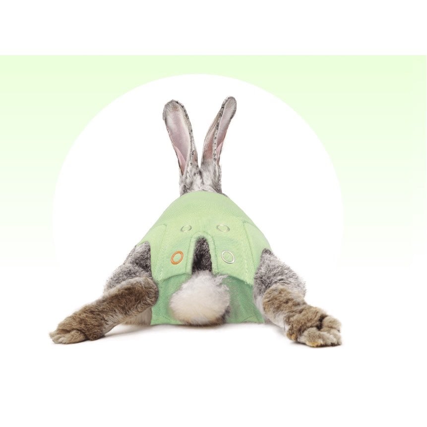 Medical Pet Shirt for Rabbit for Small Pets (Green) Pack of 1 Unit - additional product view 3