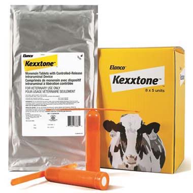 Kexxtone Capsule 1 Pack of 8 X 5 Bolus