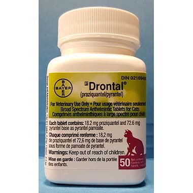 Drontal Chewable Tablets 1 Bottle of 50 Tablets