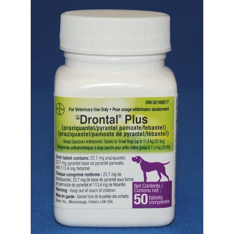 Drontal Plus Chewable Tablets 1 Bottle of 50 Tablets