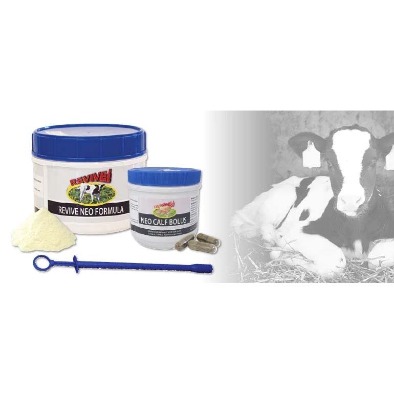 Revive Neo Calf Bolus 25 Bolus