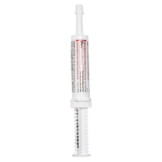 ProSootheGI Oral Paste for Dogs and Cats 15 mL Oral Syringe