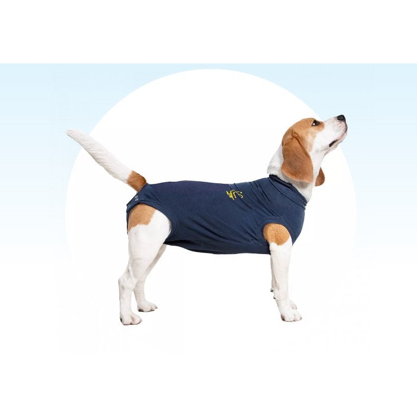 Medical Pet Shirt for Dogs (Blue) 1 Unit, Medium - view 2