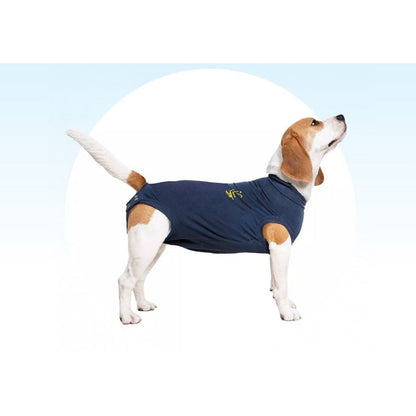 Medical Pet Shirt for Dogs (Blue) Pack of 1 Unit, Medium