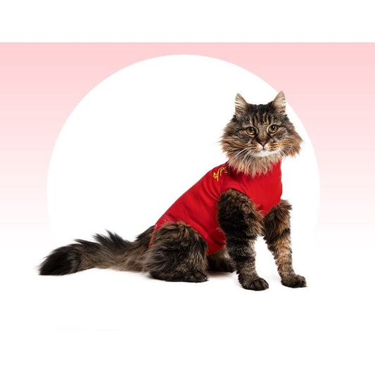 Medical Pet Shirt for Cats (Red) Pack of 1 Unit, XS