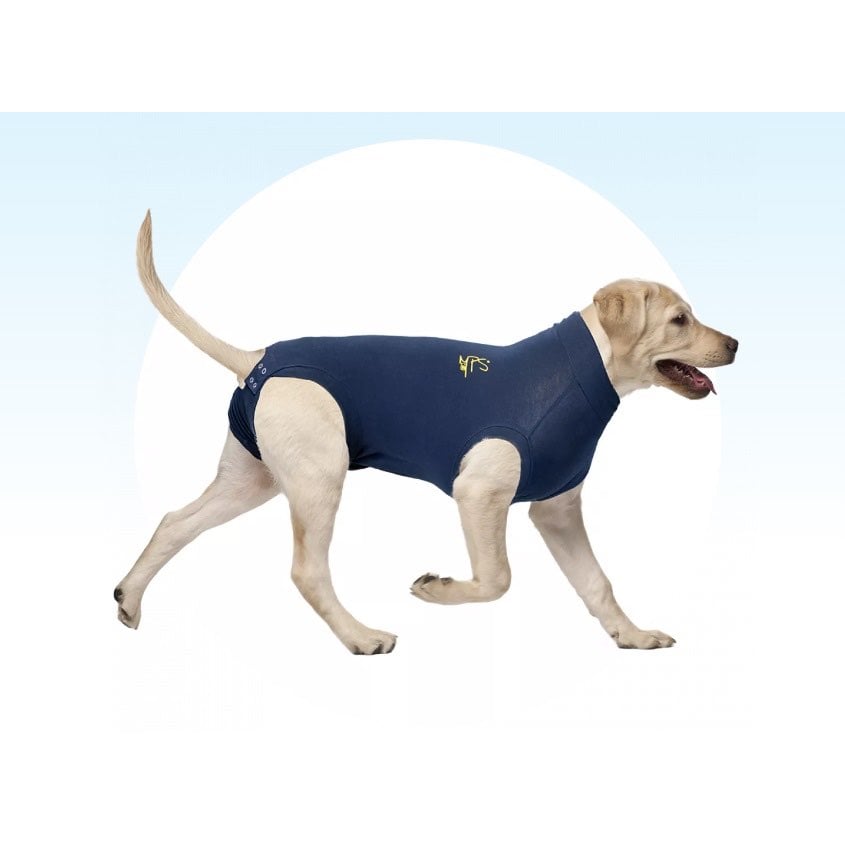 Medical Pet Shirt for Dogs (Blue) Pack of 1 Unit, XL