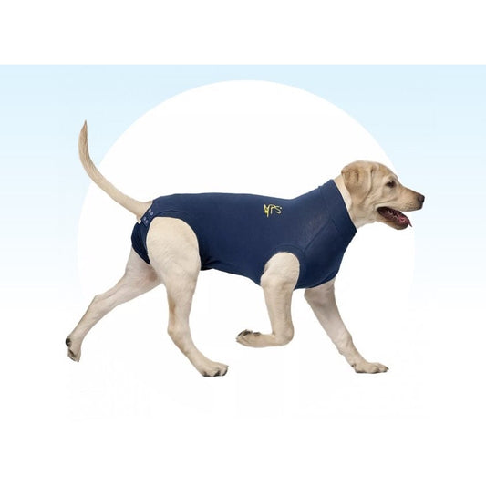 Medical Pet Shirt for Dogs (Blue) Pack of 1 Unit, XL